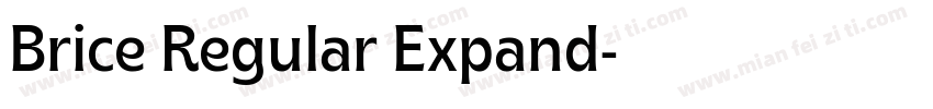Brice Regular Expand字体转换